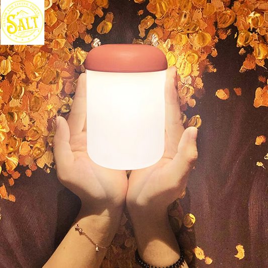 Portable LED Night Light Touch Dimmable Outdoor Lantern USB Rechargeable Bedroom Bedside Lamp for Children Baby Gift