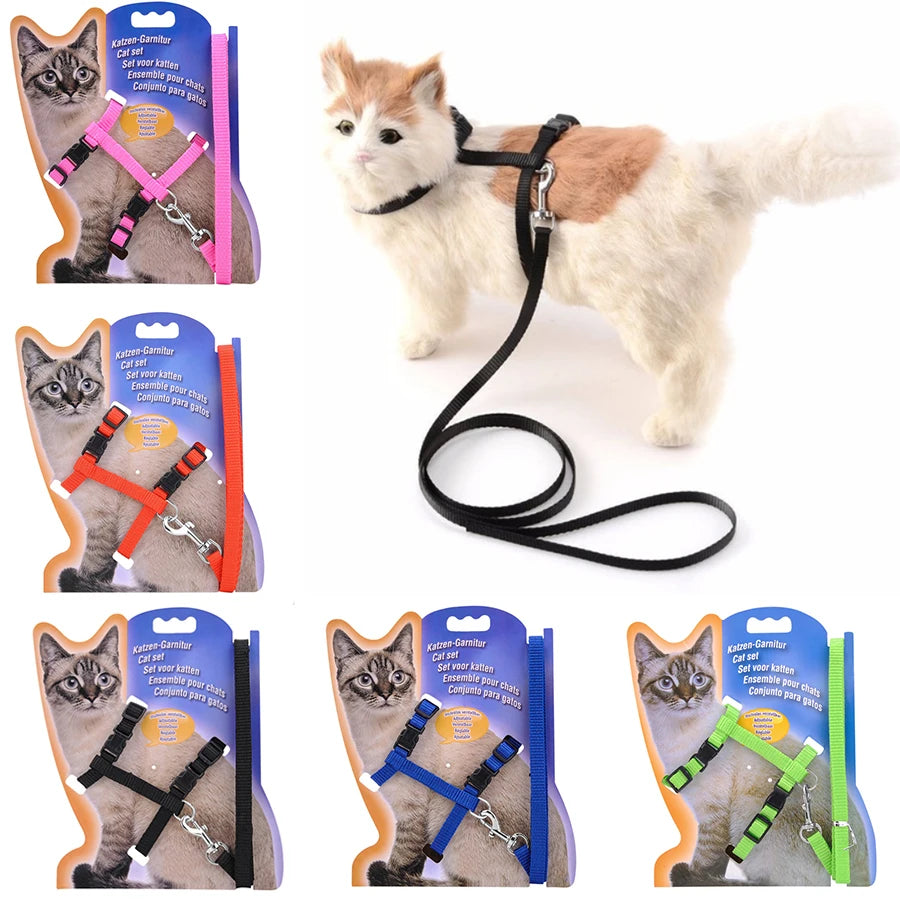 Adjustable Cat Collar with Harness & Leash – Cozy Nylon Pet Accessory