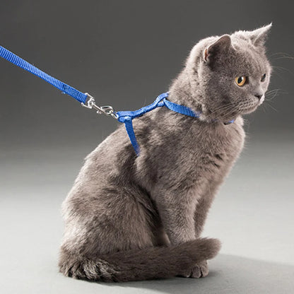 Adjustable Cat Collar with Harness & Leash – Cozy Nylon Pet Accessory