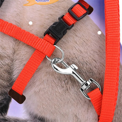 Adjustable Cat Collar with Harness & Leash – Cozy Nylon Pet Accessory