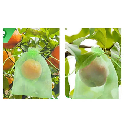 Fruit Protection Bags | Insect-Proof & Reusable Garden Tool