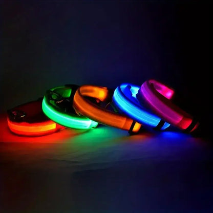 LED Nylon Dog Collar – Night Safety Glow-in-the-Dark Leash