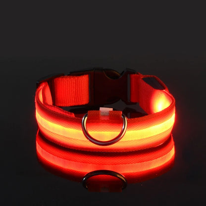 LED Nylon Dog Collar & Leash – Night Safety Glow-in-the-Dark Accessory