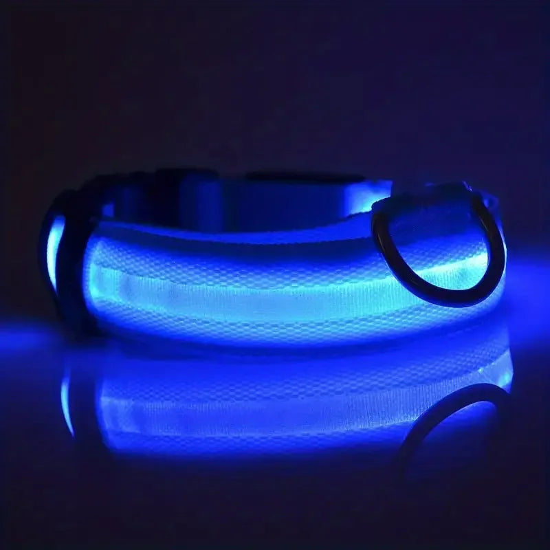 LED Nylon Dog Collar – Night Safety Glow-in-the-Dark Leash