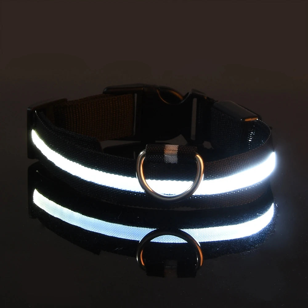 LED Nylon Dog Collar & Leash – Night Safety Glow-in-the-Dark Accessory