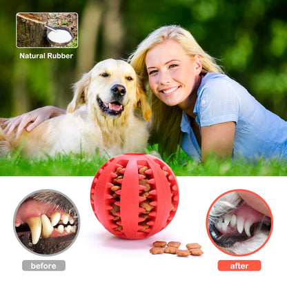 Interactive Dog Food Ball – Teeth Cleaning Toy for Puppies & Cats