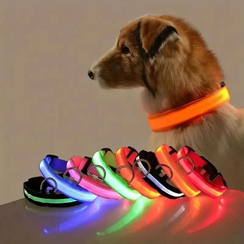 LED Nylon Dog Collar – Night Safety Glow-in-the-Dark Leash