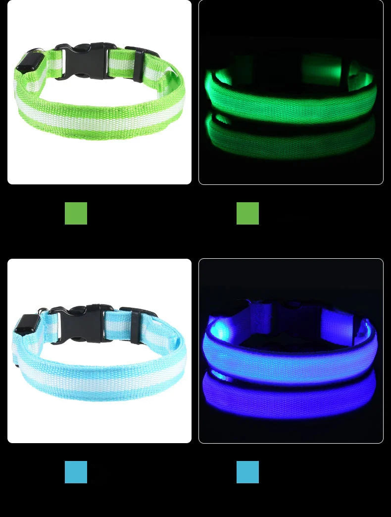 LED Nylon Dog Collar & Leash – Night Safety Glow-in-the-Dark Accessory