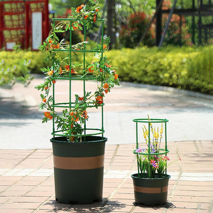 Semicircle Vine Climbing Bracket | Durable Plant Support