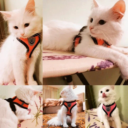 Adjustable Mesh Cat Harness with Lead Leash – Small Medium Dogs & Kittens