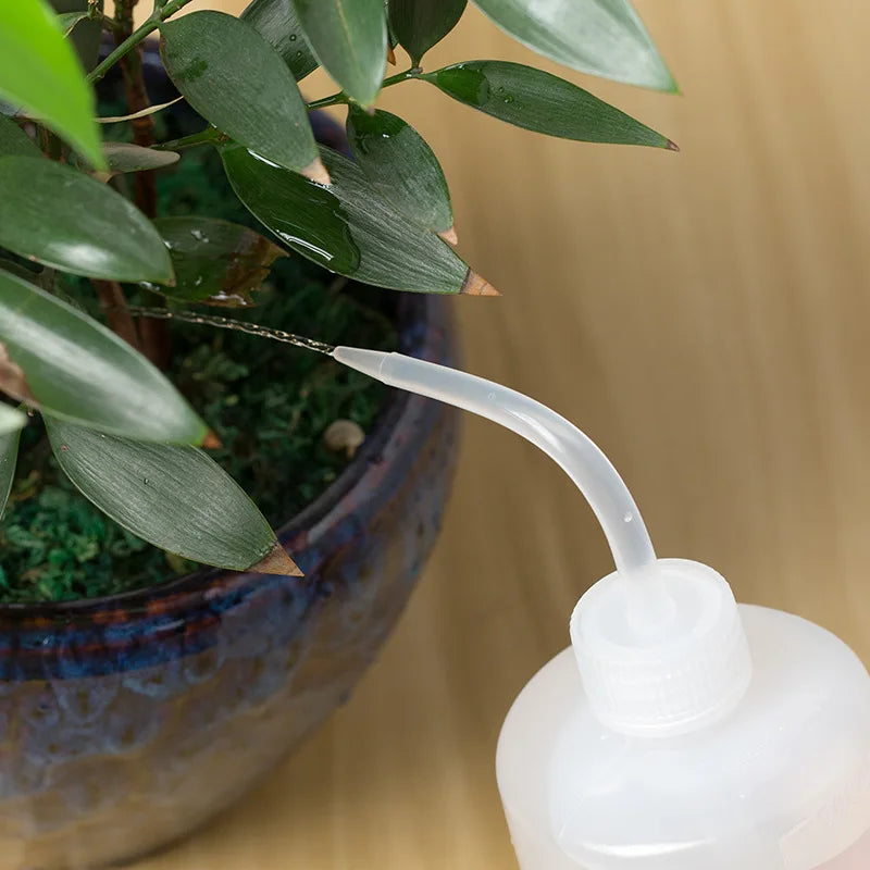 Water Beak Kettle | Succulent & Flower Watering Tool