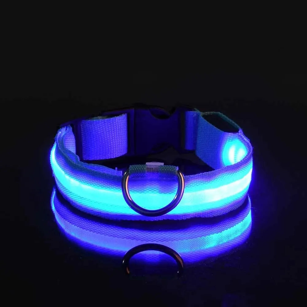 LED Nylon Dog Collar – Night Safety Glow-in-the-Dark Leash