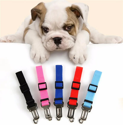 Adjustable Pet Harness | Cat & Dog Seat Belt for Travel