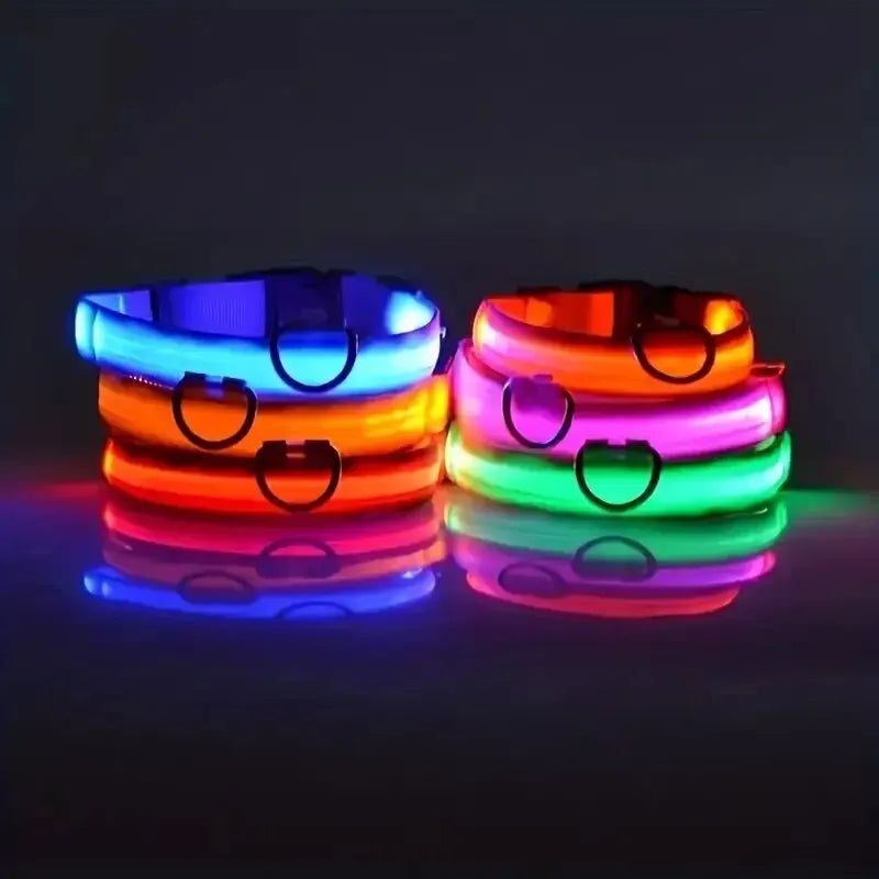 LED Nylon Dog Collar – Night Safety Glow-in-the-Dark Leash