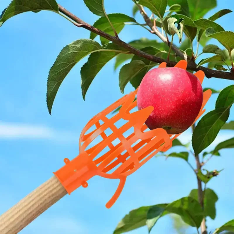 High-Altitude Fruit Picker | Tool for Loquat, Peach, Plum & Jujube