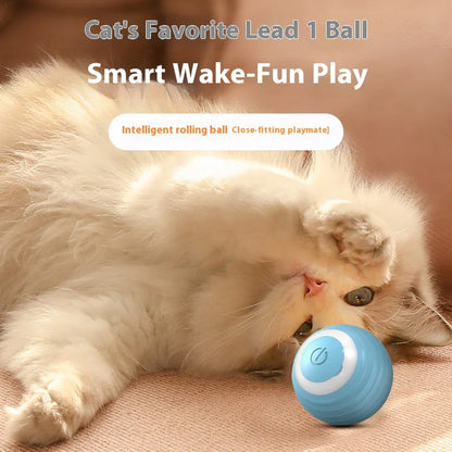 Automatic Cat Teasing Ball – Gravity Rolling Toy for Fun & Relaxation