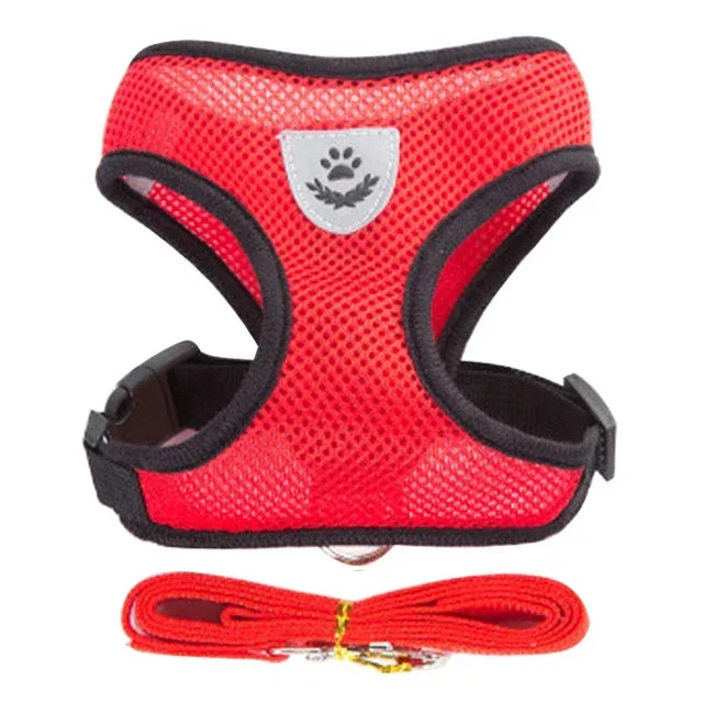 Adjustable Mesh Cat Harness with Lead Leash – Small Medium Dogs & Kittens