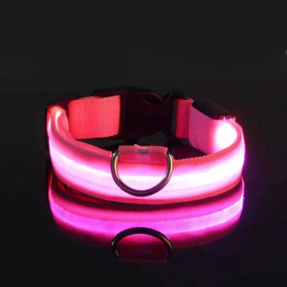 LED Nylon Dog Collar – Night Safety Glow-in-the-Dark Leash