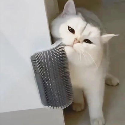 PP Material Cat Massager Brush – Hair Removal Grooming Tool