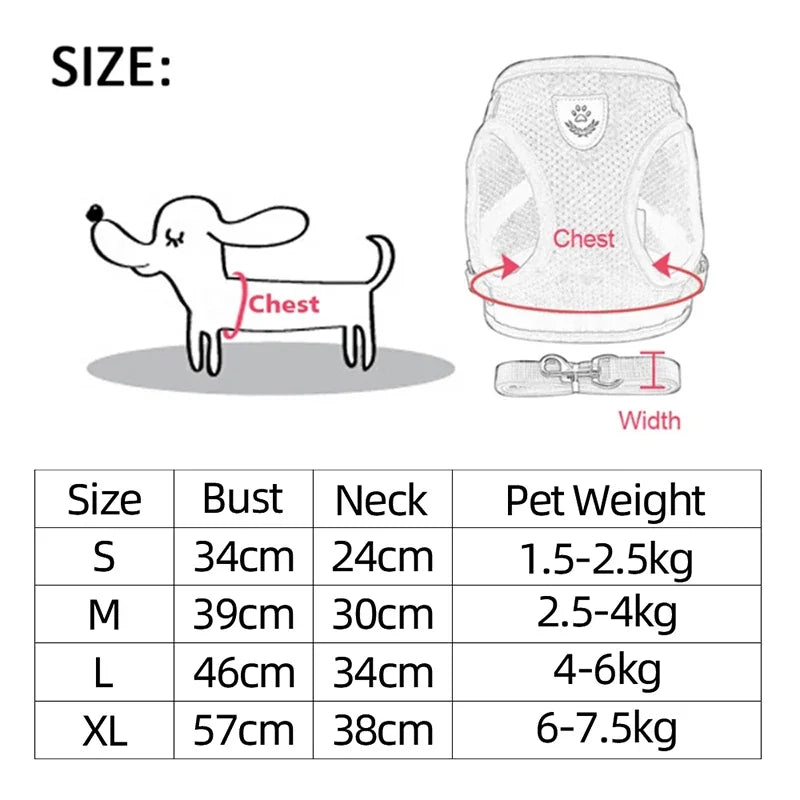 Adjustable Mesh Cat Harness with Lead Leash – Small Medium Dogs & Kittens