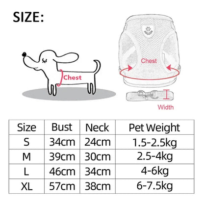 Adjustable Mesh Cat Harness with Lead Leash – Small Medium Dogs & Kittens