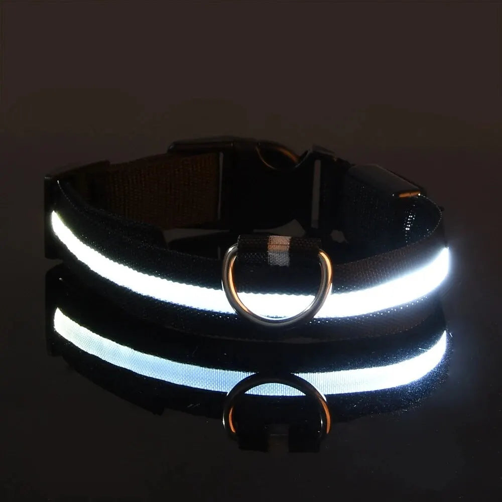 LED Nylon Dog Collar – Night Safety Glow-in-the-Dark Leash