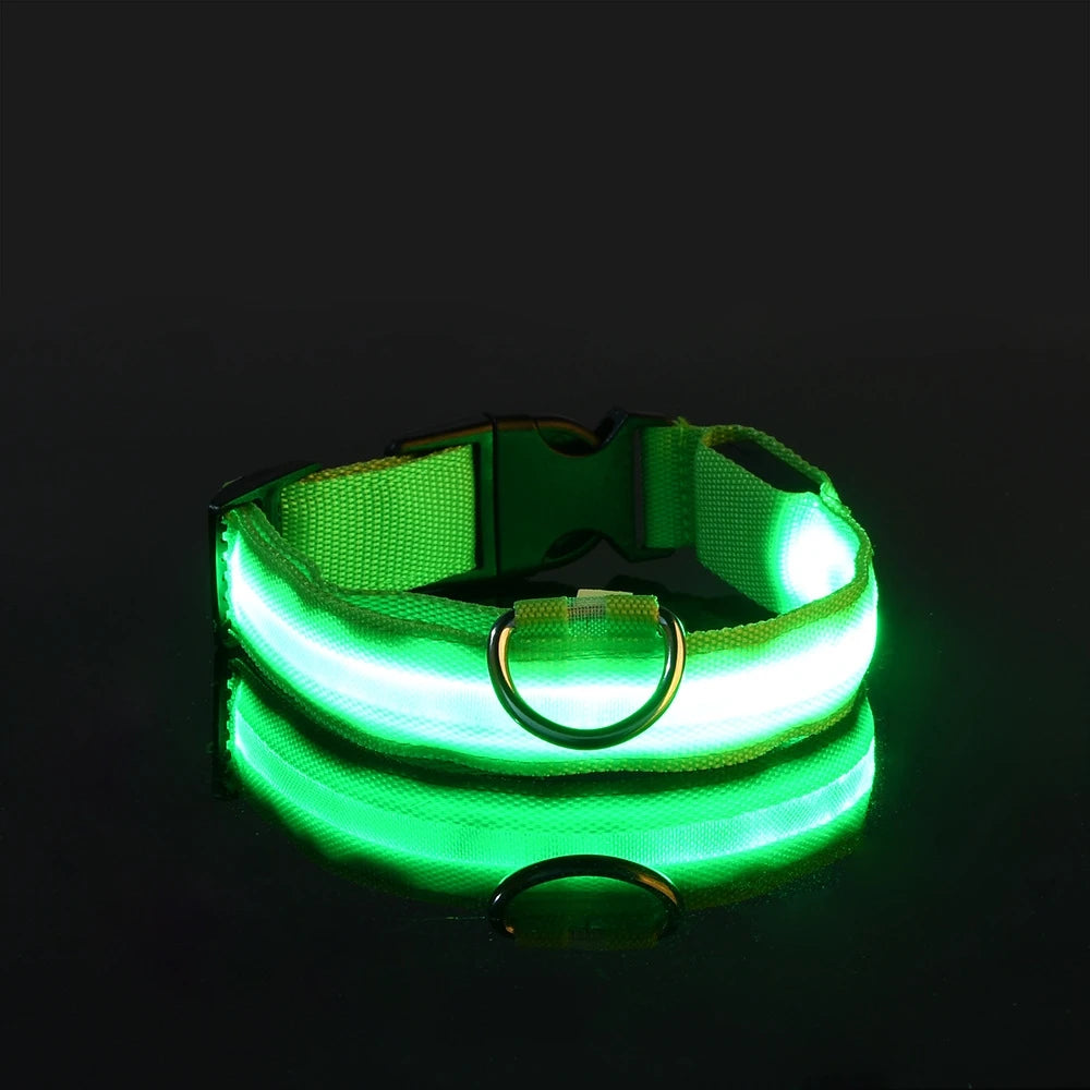 LED Nylon Dog Collar & Leash – Night Safety Glow-in-the-Dark Accessory