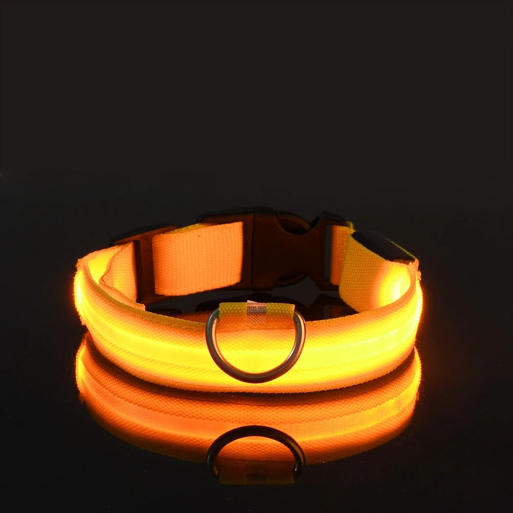 LED Nylon Dog Collar & Leash – Night Safety Glow-in-the-Dark Accessory