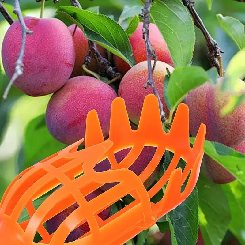 High-Altitude Fruit Picker | Tool for Loquat, Peach, Plum & Jujube