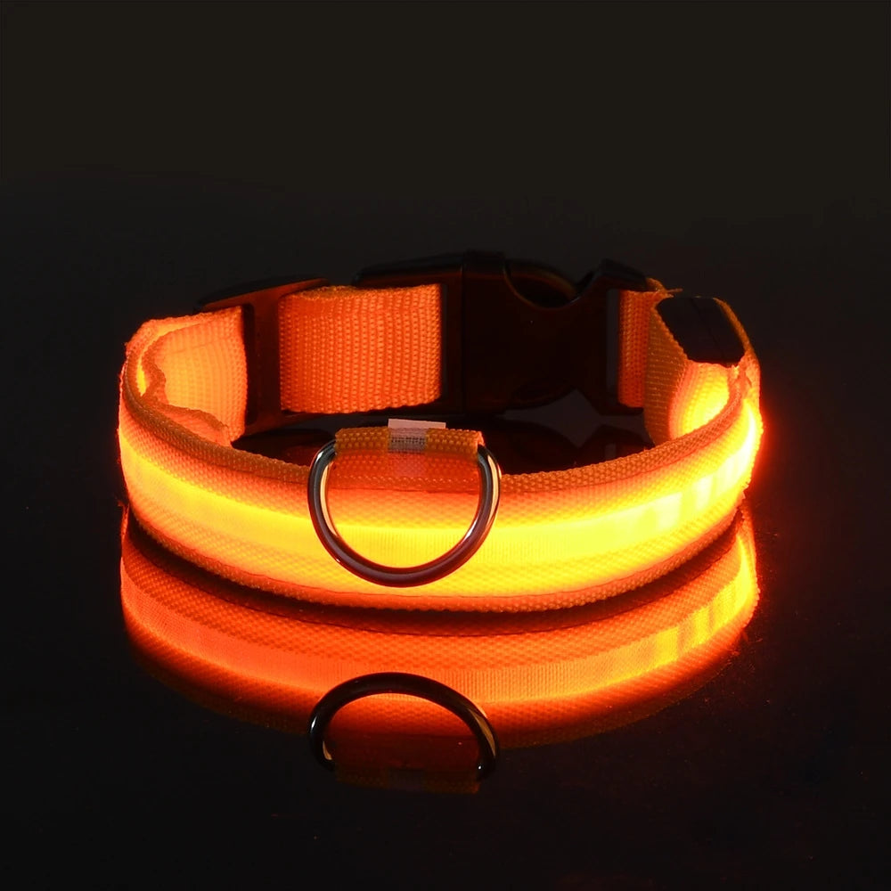 LED Nylon Dog Collar & Leash – Night Safety Glow-in-the-Dark Accessory