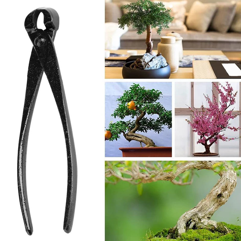 Professional Bonsai Knob Cutter Concave Edge Cutter Pliers Ball Shear Scissors Landscape Modeling Garden Bonsai Tools