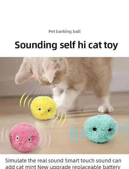 Interactive Cat Ball with Catnip & Squeak – Fun Training Toy for Kittens