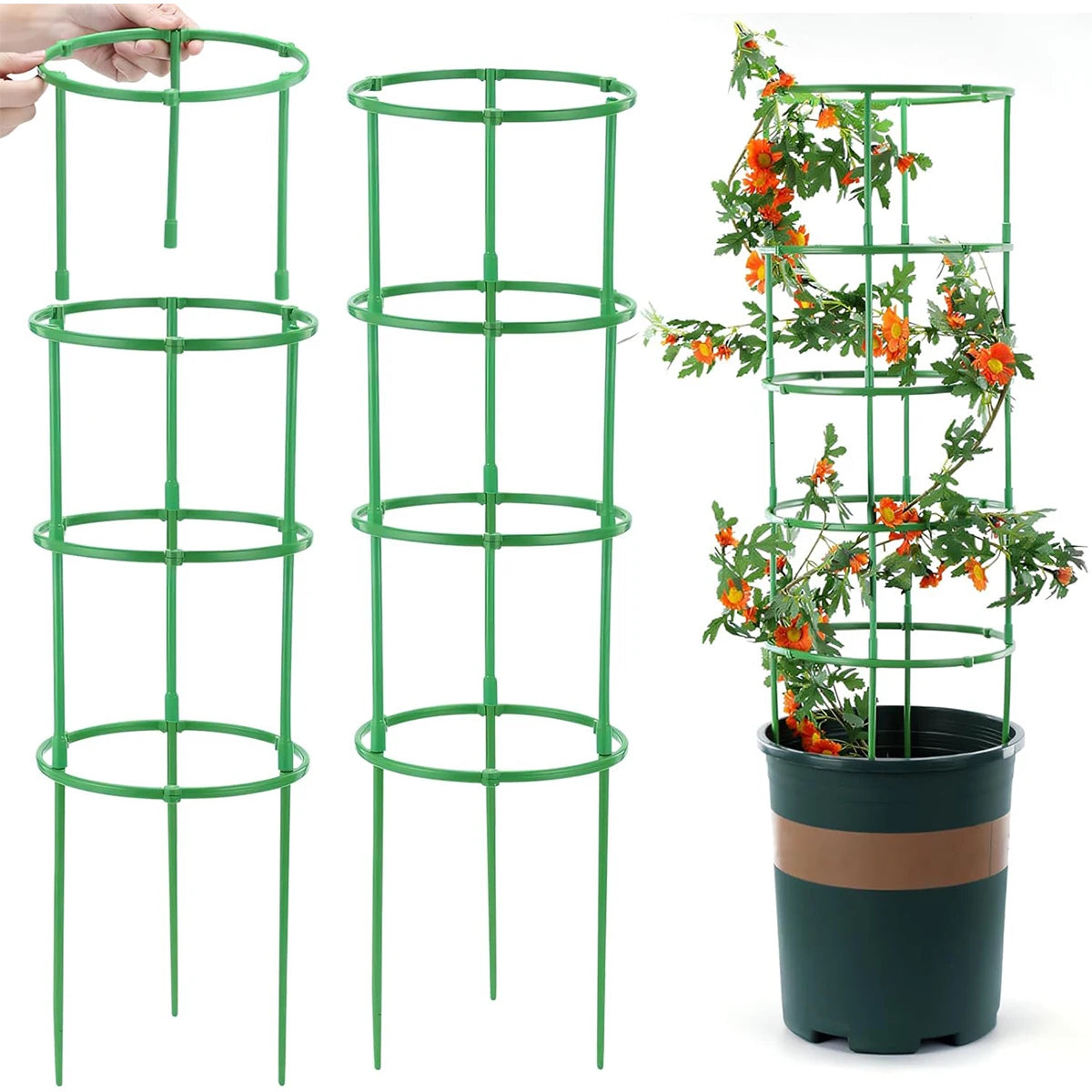 Semicircle Vine Climbing Bracket | Durable Plant Support