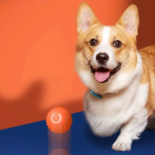 Rechargeable Smart Dog Toy Ball – Interactive Gravity Jumping Pet Toy