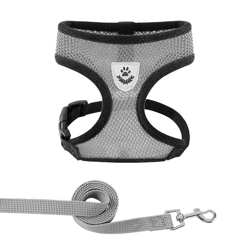 Adjustable Mesh Cat Harness with Lead Leash – Small Medium Dogs & Kittens