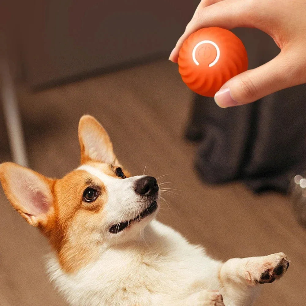 Rechargeable Smart Dog Toy Ball – Interactive Gravity Jumping Pet Toy