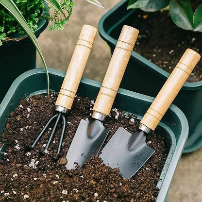 3Pcs Mini Garden Tool Set | For Plants, Pots, Cactus & Weeding