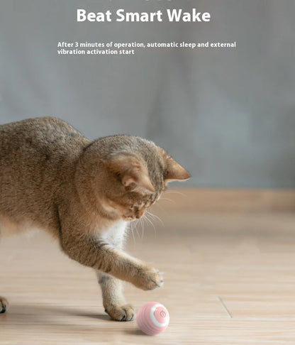 Automatic Cat Teasing Ball – Gravity Rolling Toy for Fun & Relaxation