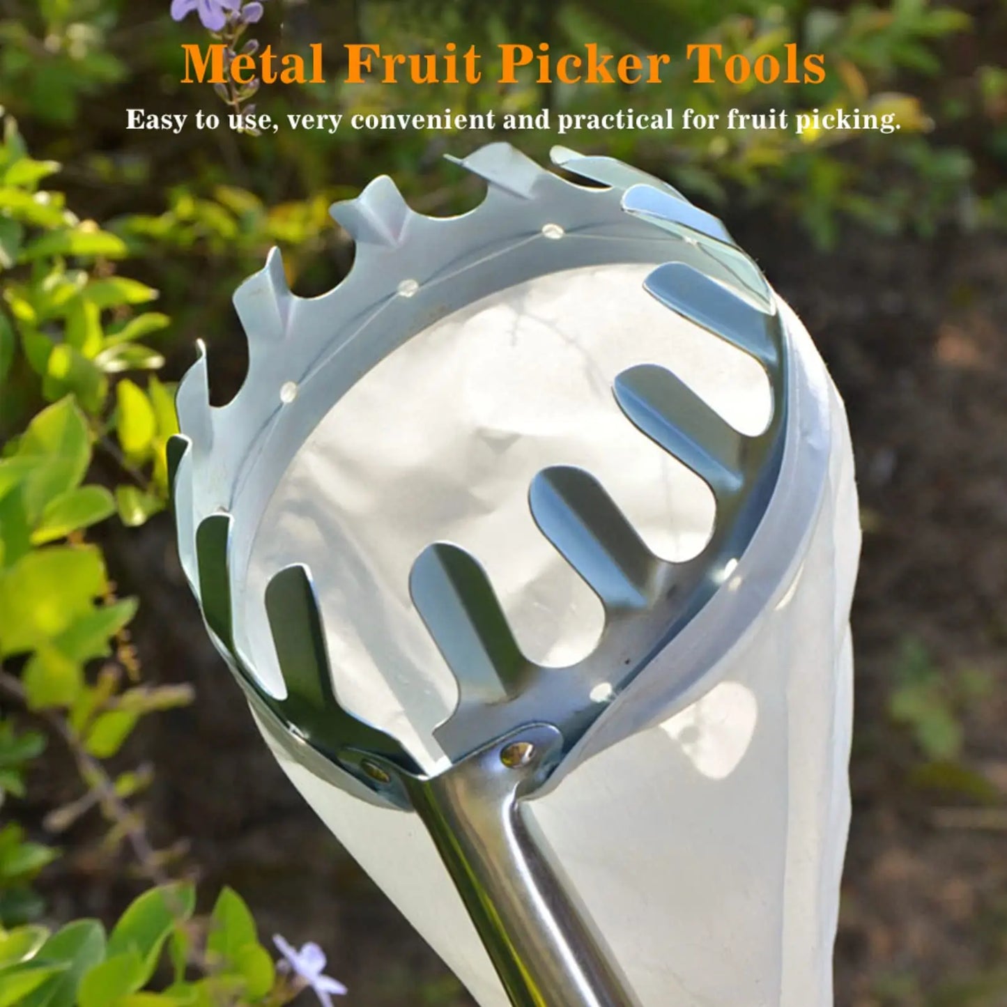 Metal Fruit Picker Tool | Basket Head for Harvesting Apples & Cherries