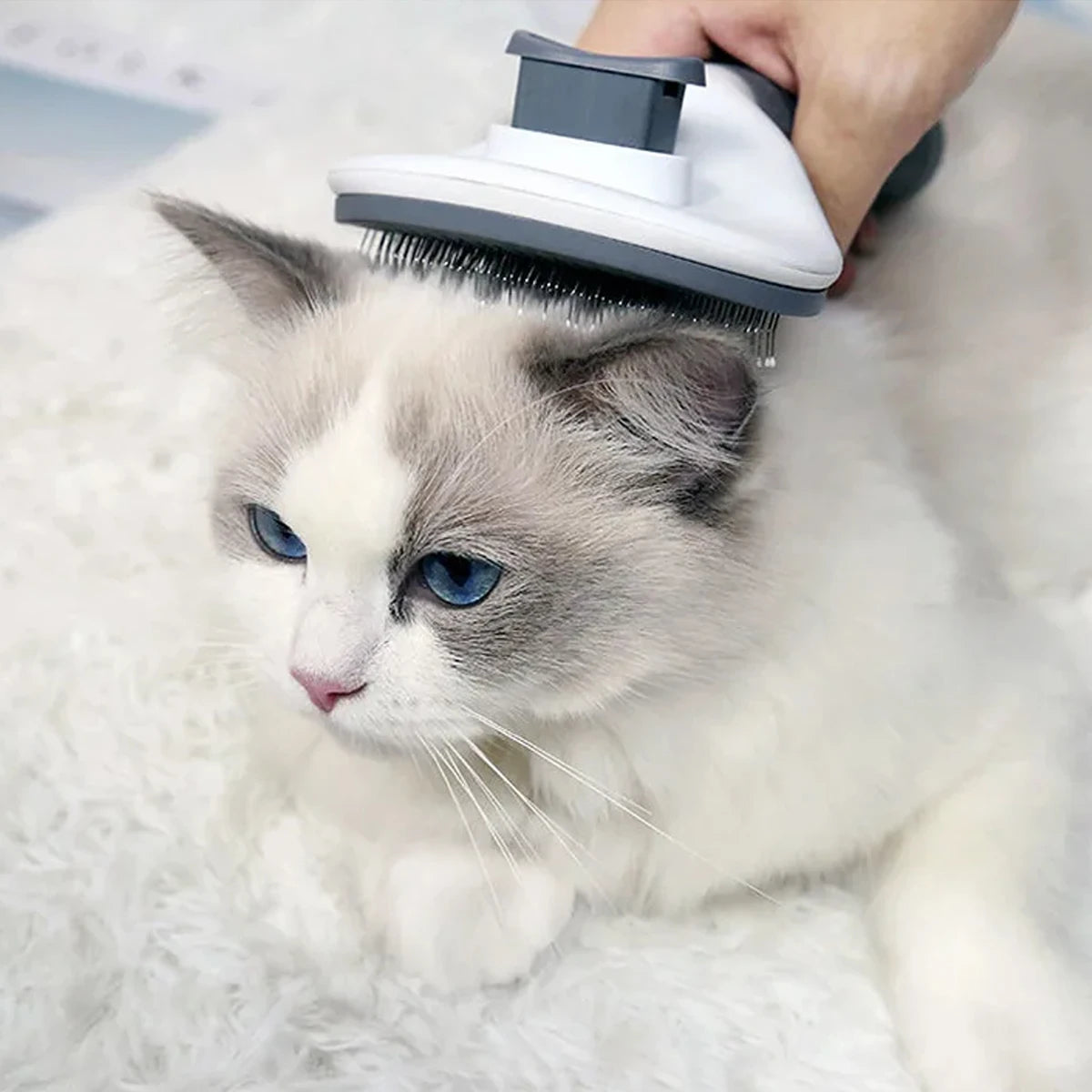 One-Click Hair Removal Pet Comb – Automatic Cat & Dog Grooming Brush