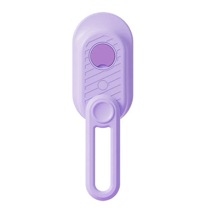 3-in-1 Pet Steam Brush – Spray, Massage & Hair Removal Comb