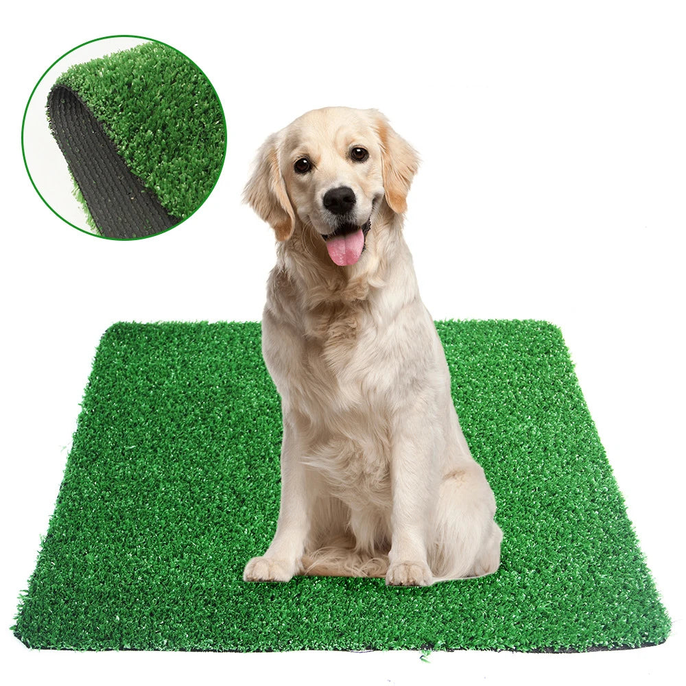 Washable Dog Toilet – Indoor/Outdoor Pet Urinal & Kennel Lawn