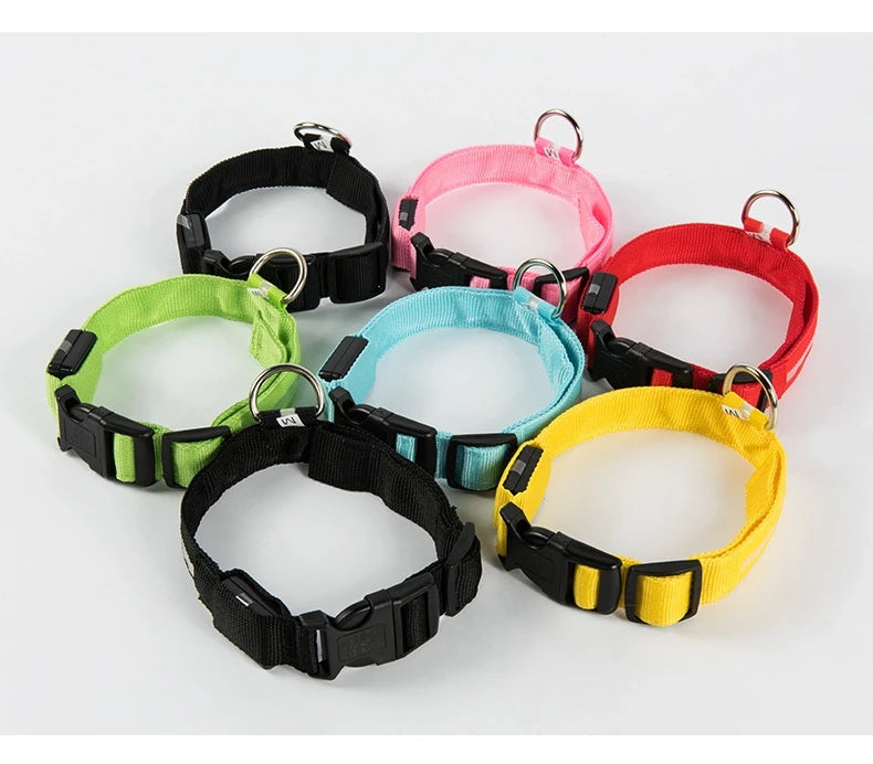 LED Nylon Dog Collar & Leash – Night Safety Glow-in-the-Dark Accessory