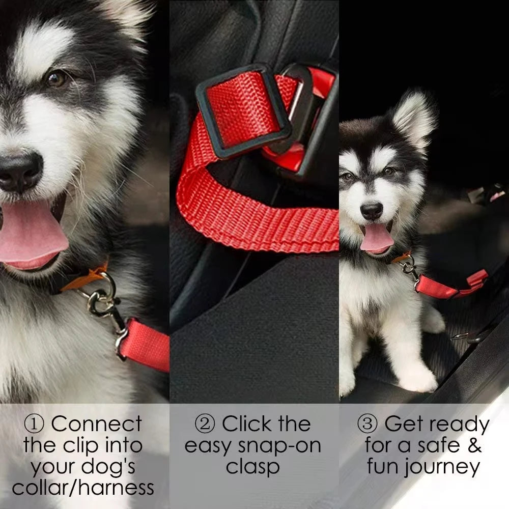 Dog Car Seat Belt Safety Protector – Breakaway Collar & Harness