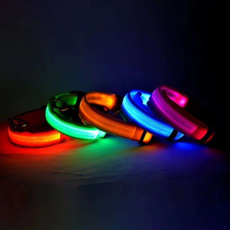 LED Nylon Dog Collar & Leash – Night Safety Glow-in-the-Dark Accessory