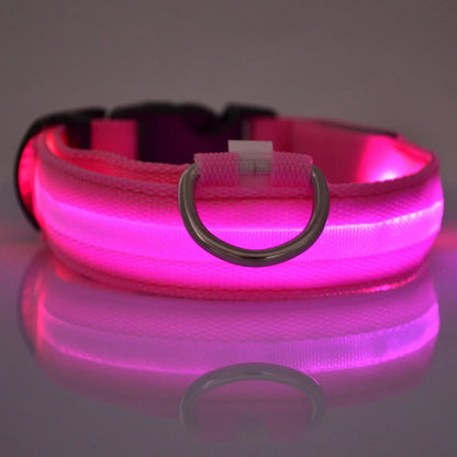 LED Nylon Dog Collar & Leash – Night Safety Glow-in-the-Dark Accessory