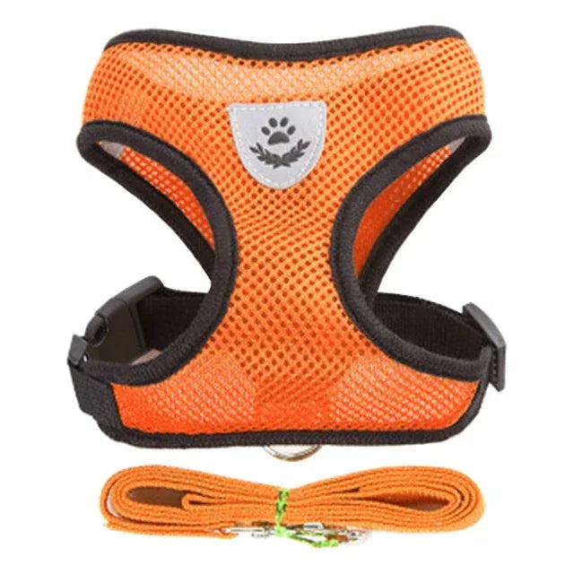 Adjustable Mesh Cat Harness with Lead Leash – Small Medium Dogs & Kittens