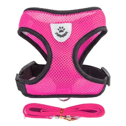 Adjustable Mesh Cat Harness with Lead Leash – Small Medium Dogs & Kittens