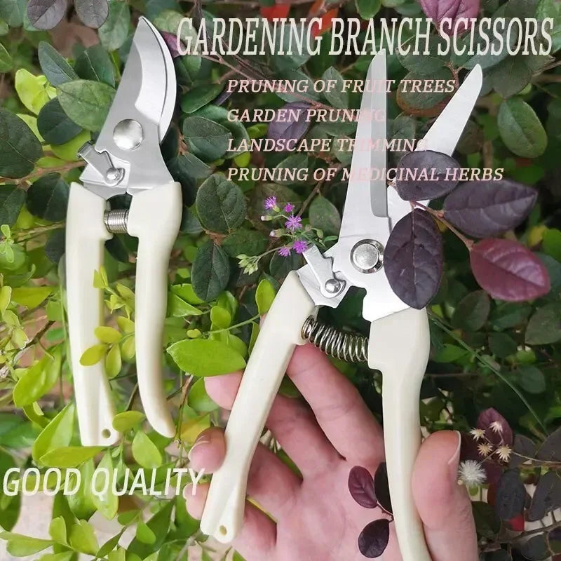 Stainless Steel Scissors for Flower Arrangement, Pruning, and Gardening