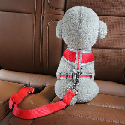 Dog Car Seat Belt Safety Protector – Breakaway Collar & Harness